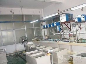 廣告設計 藝術與策略的交匯